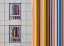 Picture of THE GRAY AND THE COLORS