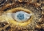 Picture of SEA EYE