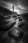 Picture of UNTITLED