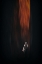 Picture of SECRET DABYSSINIE