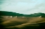 Picture of TERRA MADRE