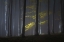 Picture of FOGGY MORNING