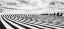 Picture of FIELDS OF STRIPES