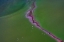 Picture of RIVER FROM THE SKY