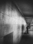 Picture of UNTITLED