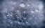Picture of WATER DROPLETS IN DANDELION
