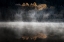 Picture of AE?CCS?ARA??ALEA?A?A??AB