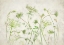 Picture of WILD HERB GARDEN