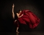 Picture of PETAL