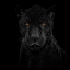 Picture of BLACK PANTHER