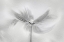 Picture of DANCING COSMOS