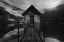 Picture of THE PATH TO DECAY