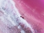 Picture of PINK SALT