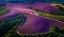 Picture of PROVENCE ULTRA PURPLE