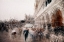 Picture of PIAZZA SAN MARCO