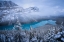 Picture of WINTER PEYTO LAKE