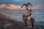 Picture of ALTAI MOUNTAIN RANGE AND AN EAGLE HUNTER