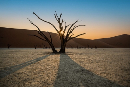 Picture of DOT OF SOSSUSVLEI