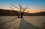 Picture of DOT OF SOSSUSVLEI