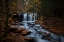 Picture of UNTITLED