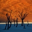 Picture of DEADVLEI