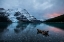 Picture of MOUNT ROBSON