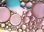 Picture of PASTEL BLUSH