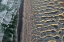Picture of THE GOLDEN PATH