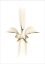 Picture of ENNEPER - 2