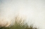 Picture of MOVING LANDSCAPE