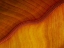 Picture of YELLOW PLUS ORANGE EQUALS A LEAF IN LATE FALL