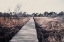 Picture of NATURE RESERVE