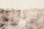 Picture of DREAMY LANDSCAPE