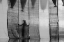Picture of NO.224