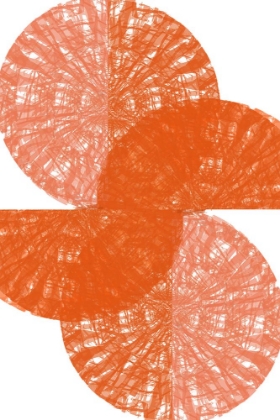 Picture of ORANGE CIRCLE FANS 1