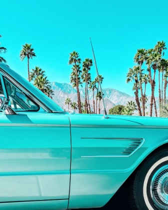 Picture of TEAL THUNDERBIRD IN PALM SPRINGS