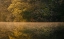 Picture of MORNING POND