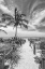 Picture of PATH TO THE BEACH - MONOCHROME