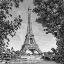 Picture of PARIS EIFFEL TOWER A RIVER SEINE - MONOCHROME