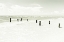 Picture of VINTAGE OCEAN VIEW
