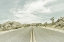 Picture of VINTAGE JOSHUA TREES