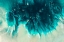 Picture of AQUA ECHOES