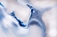 Picture of GENTLE FLOW