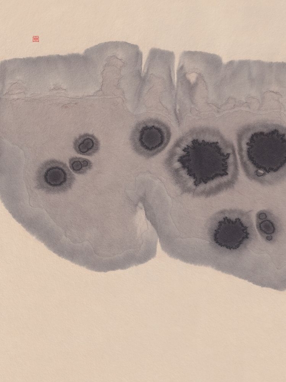 Picture of STUDY NAD7 | EPIDERMIS