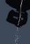 Picture of MOONLIT DIVING