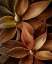 Picture of FOXTAIL AGAVE ABSTRACT