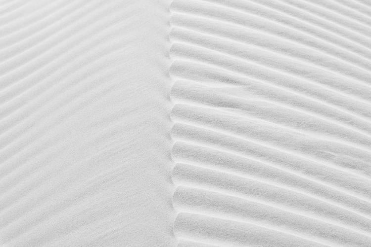 Picture of MINIMALISTIC SAND DUNE