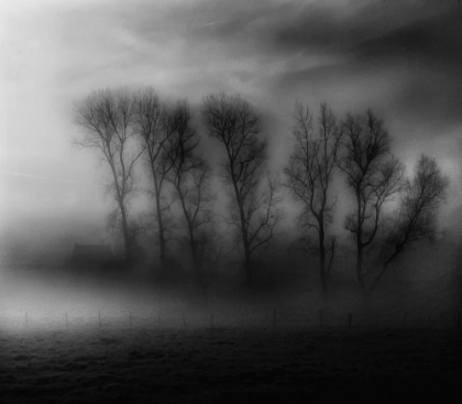 Picture of 50 SHADES OF FOG