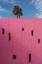 Picture of PALM SPRINGS VIBES III