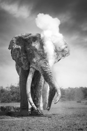 Picture of DUST EXPLOSION